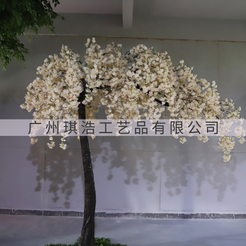 白色垂吊拱形樱花树